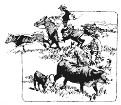 Cattle_drive
